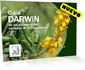 Gua Darwin de las Plantas de los Cerrados de la Chiquitania